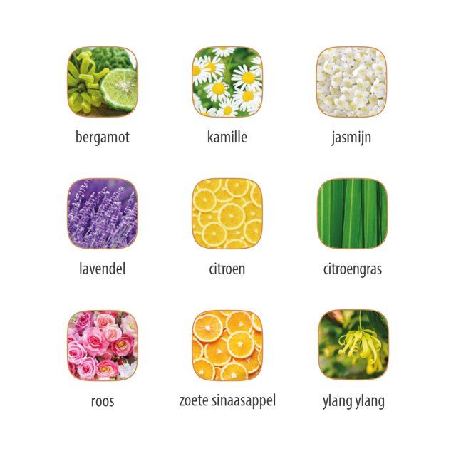 OilScent Aromatische Oliën 9 Geuren Geur Iconen